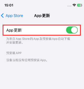 金坛苹果15维修中心如何让iPhone15APP自动更新